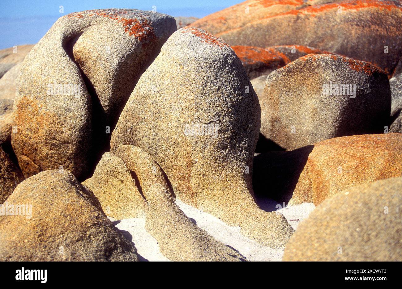 Stumpy Rock Day rock hi-res stock photography and images - Alamy