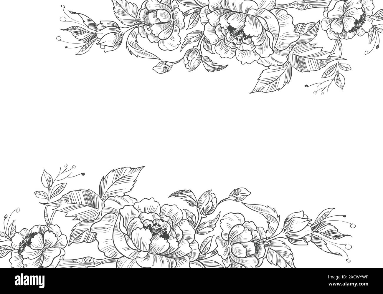Sketchy style Black and White Stock Photos & Images - Alamy