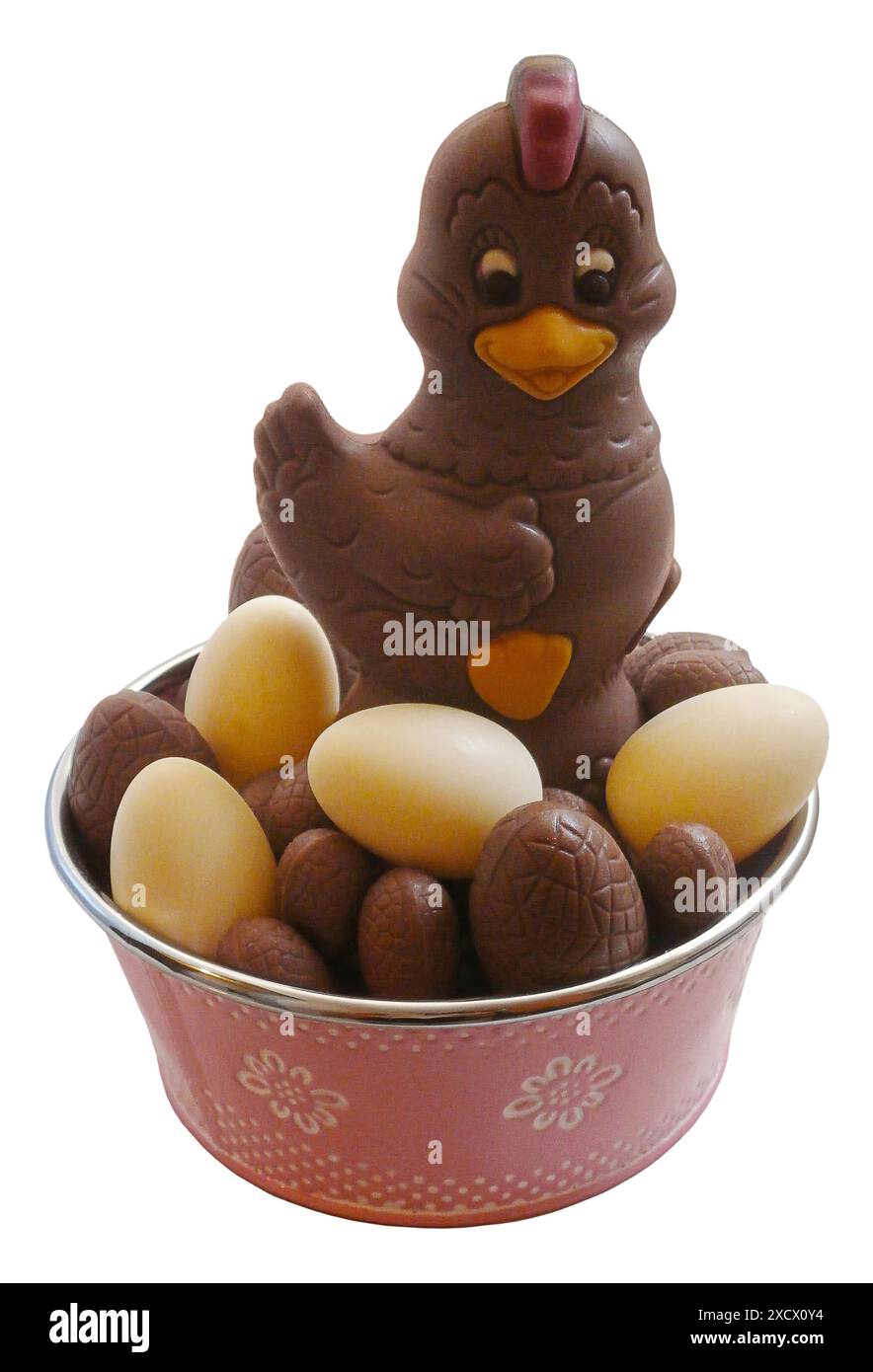 Studio Shot of a Chocolate hen brooding its easter eggs isolated on white background Stock Photo