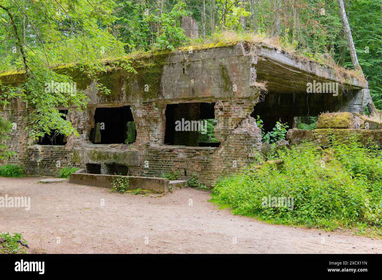 Wolf Lair in Gierloz, Poland Stock Photo - Alamy