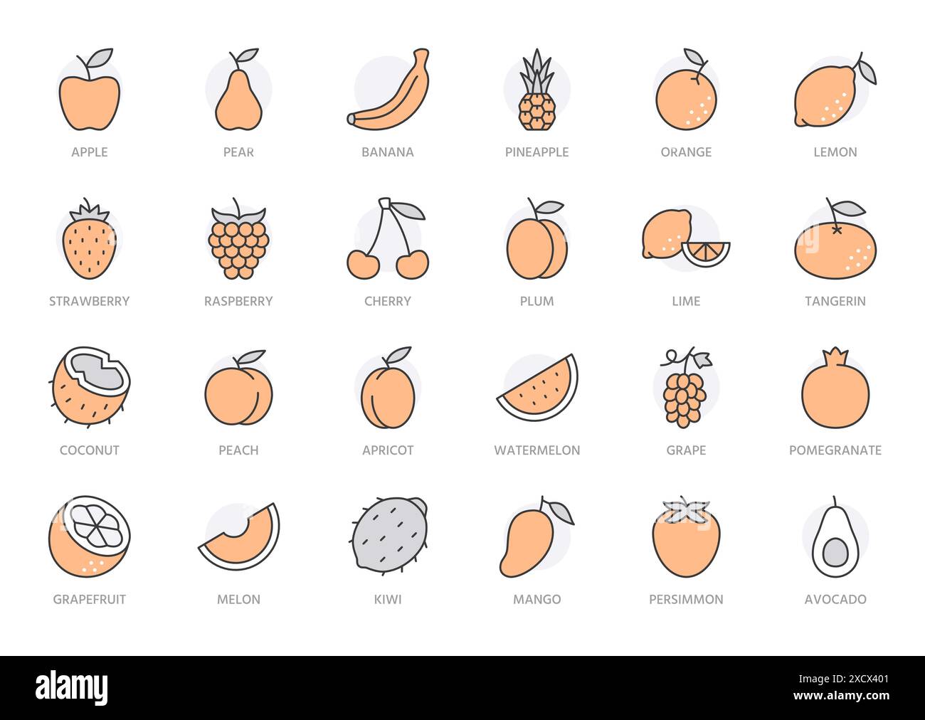 Mango editable Stock Vector Images - Alamy