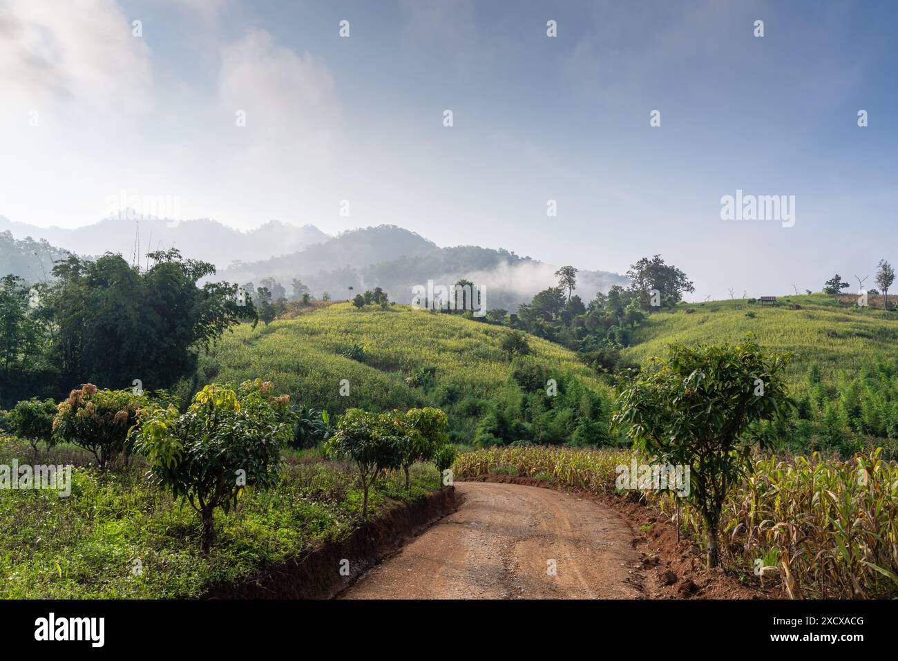 Landscape countryside in thailand hi-res stock photography and images ...