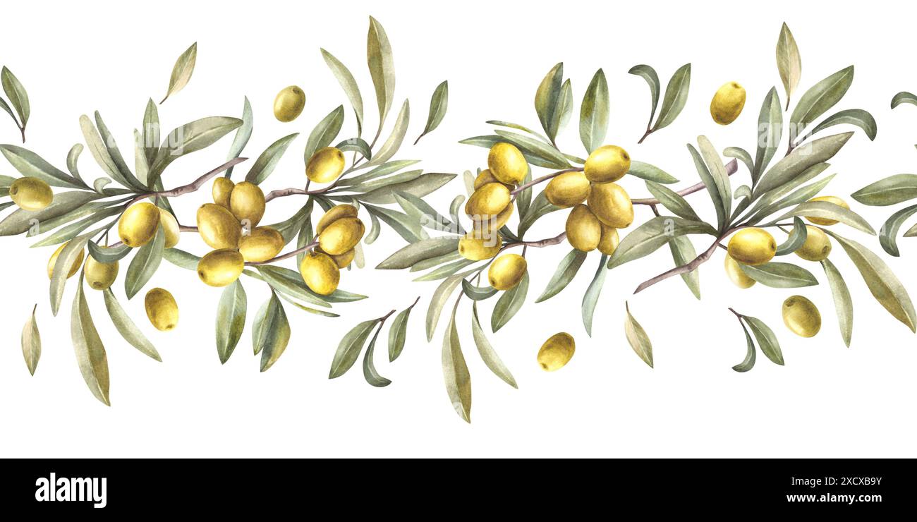 Olive tree branch with green leaves and berries. Watercolor seamless ...