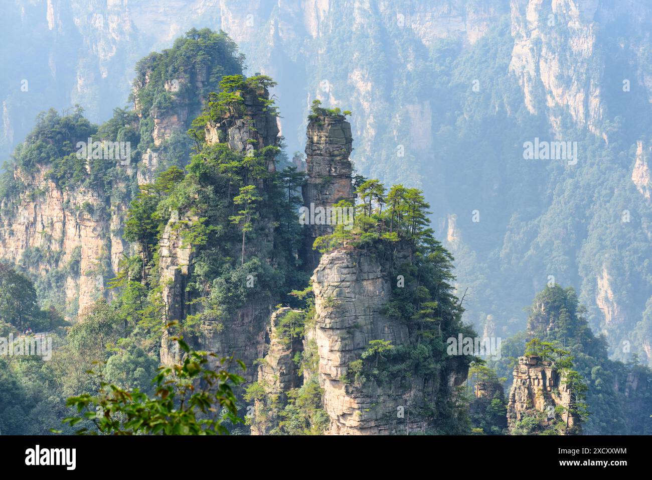 Sandstone rocks in zhangjiajie hi-res stock photography and images - Alamy