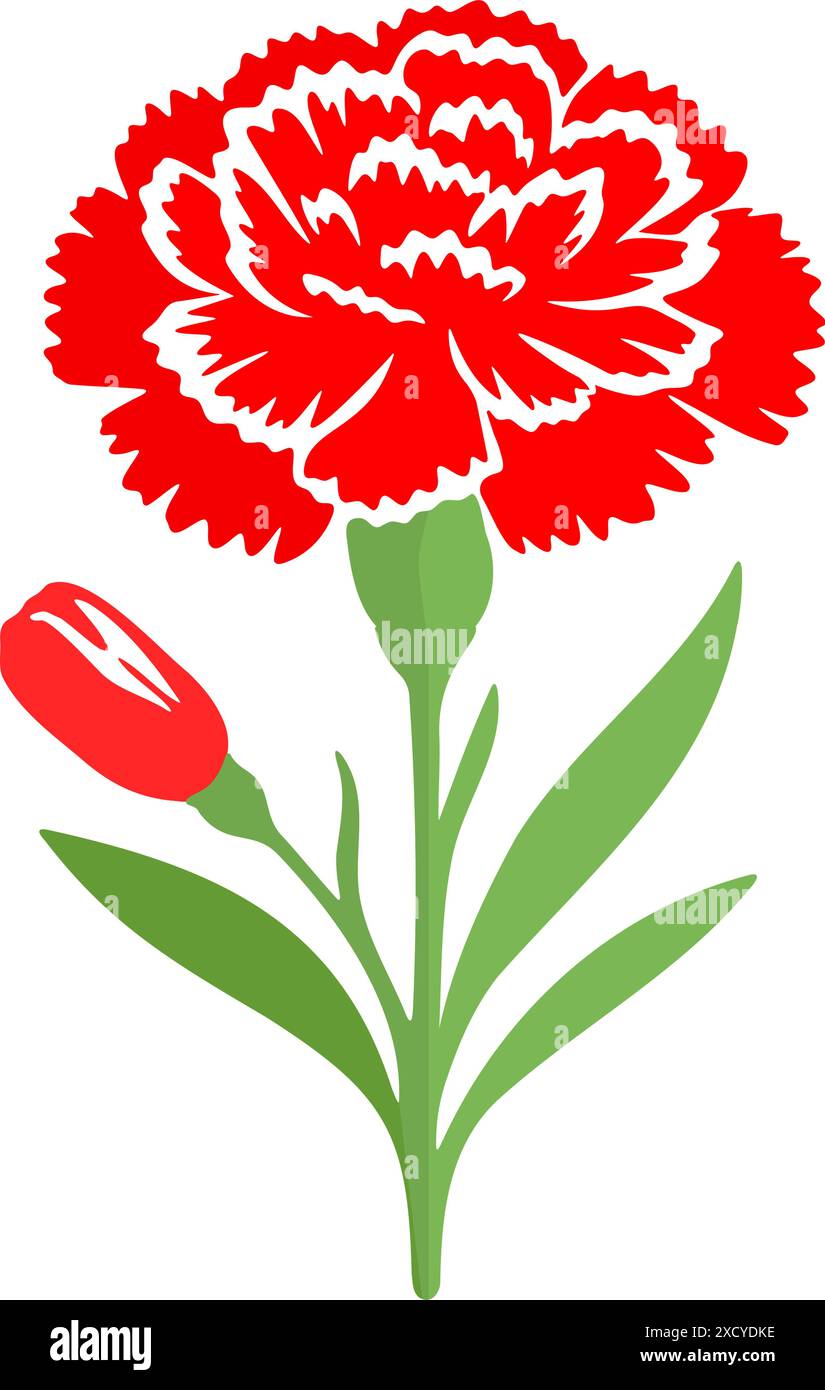 Carnation flower clip art. Vector illustration Stock Vector Image & Art ...