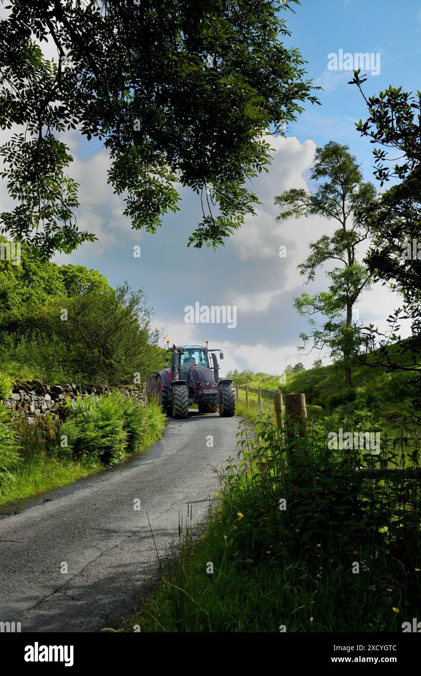 Country lane with passing place hi-res stock photography and images - Alamy