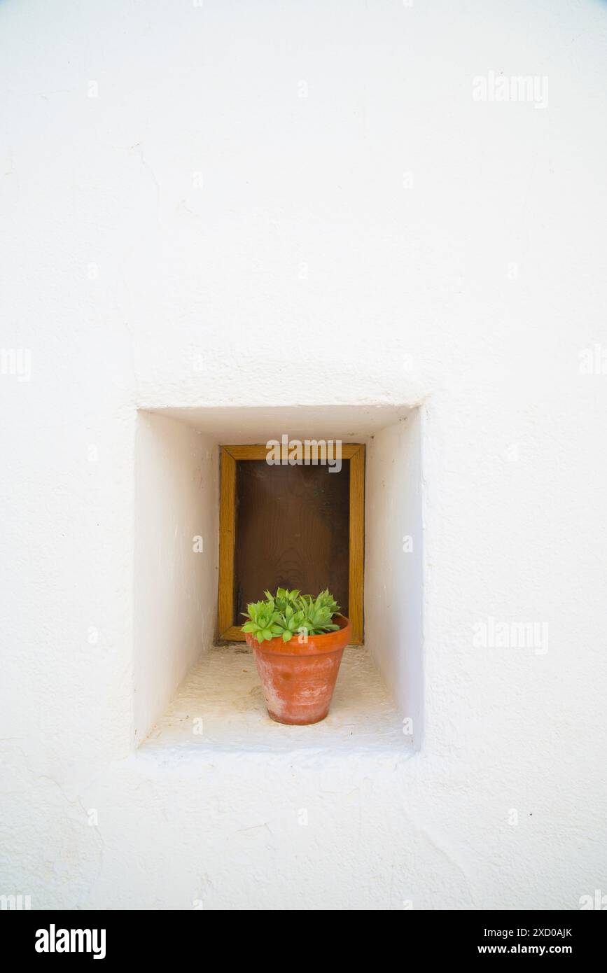 Plant pot in small window on whitewashed facade. Stock Photo