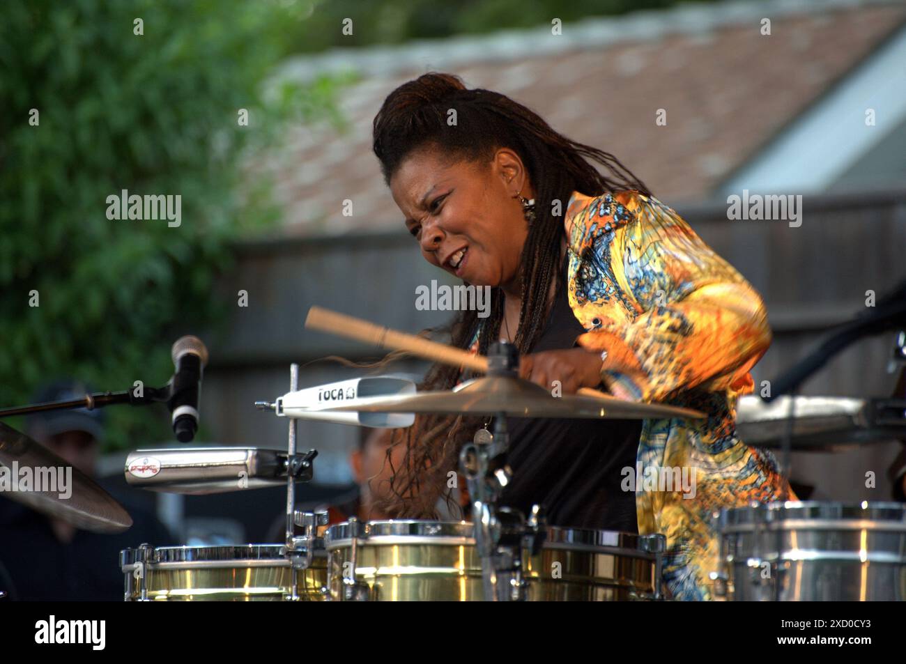 Singer/songwriter musician Patrice Rushen performs at a "Jazz on the Grass" concert in Los Angeles. Stock Photo