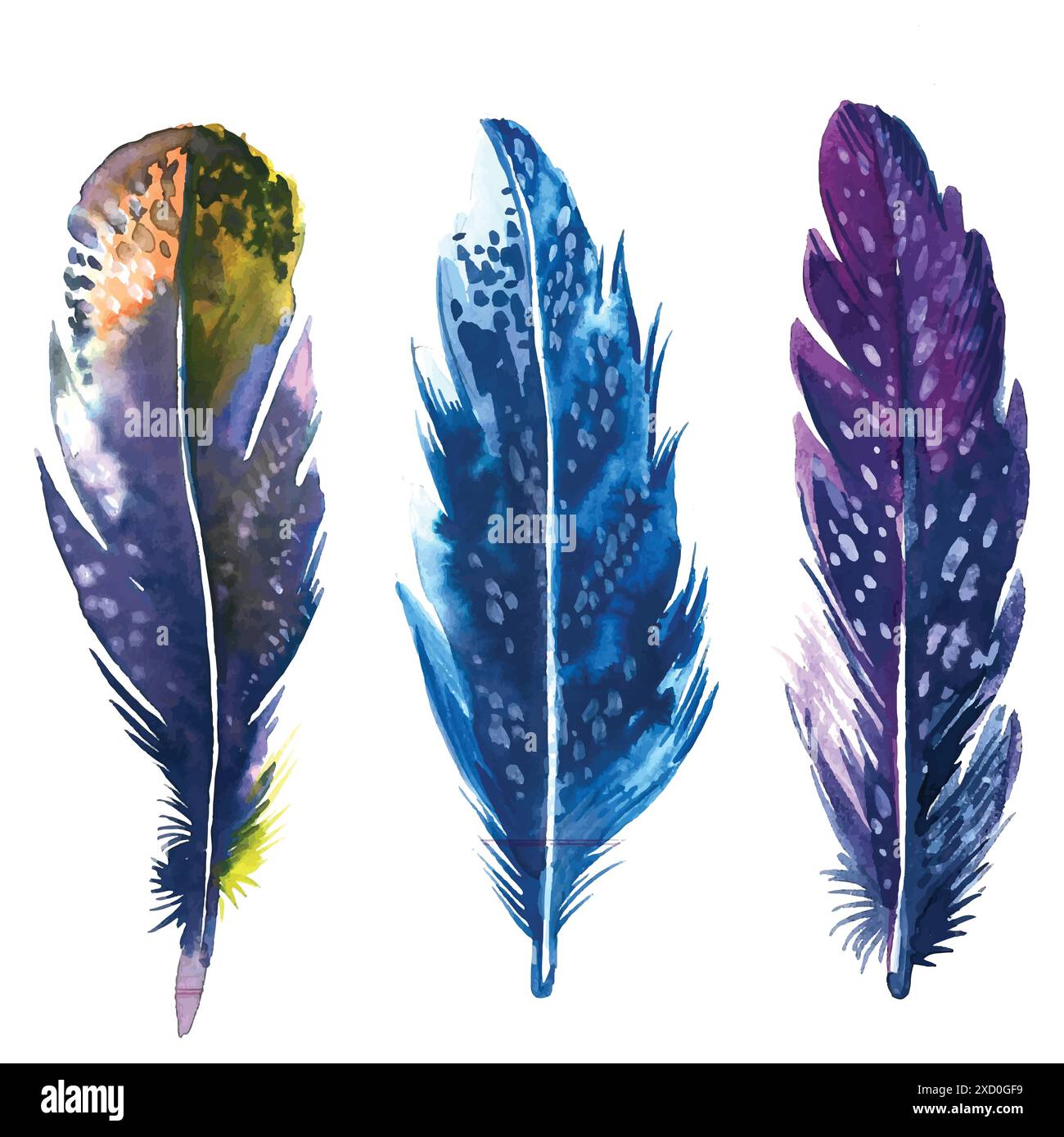 Hand drawn feathers watercolor set on white background Stock Vector ...