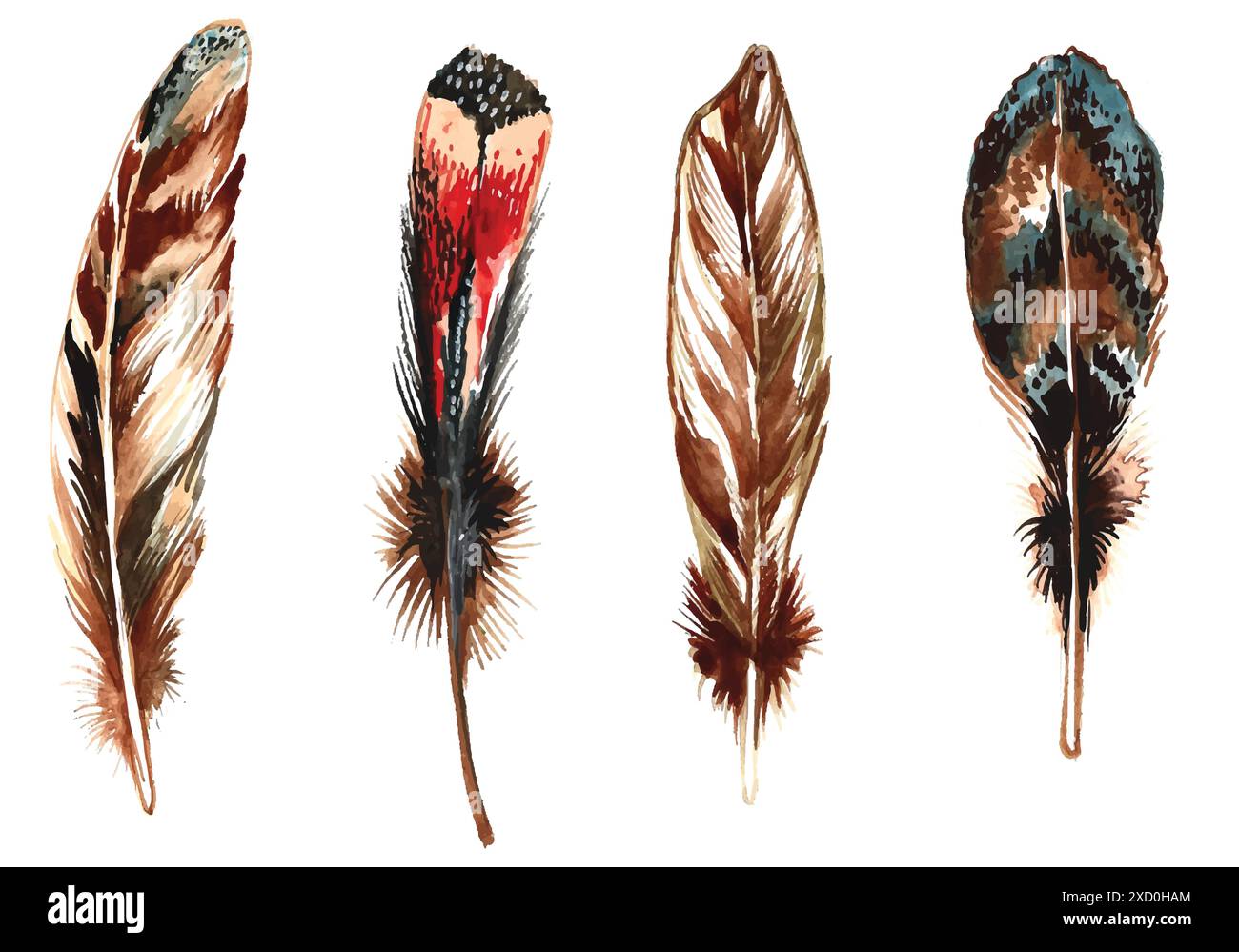 Hand drawn feathers watercolor set on white background Stock Vector ...