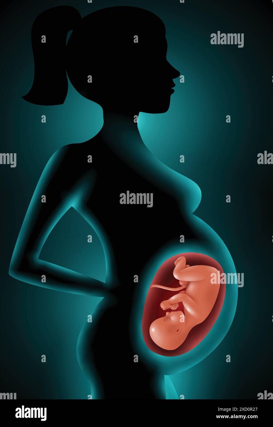 Black White Drawing Pregnant Woman Hi res Stock Photography And Images black-white-drawing-pregnant-woman-hi-res-stock-photography-and-images