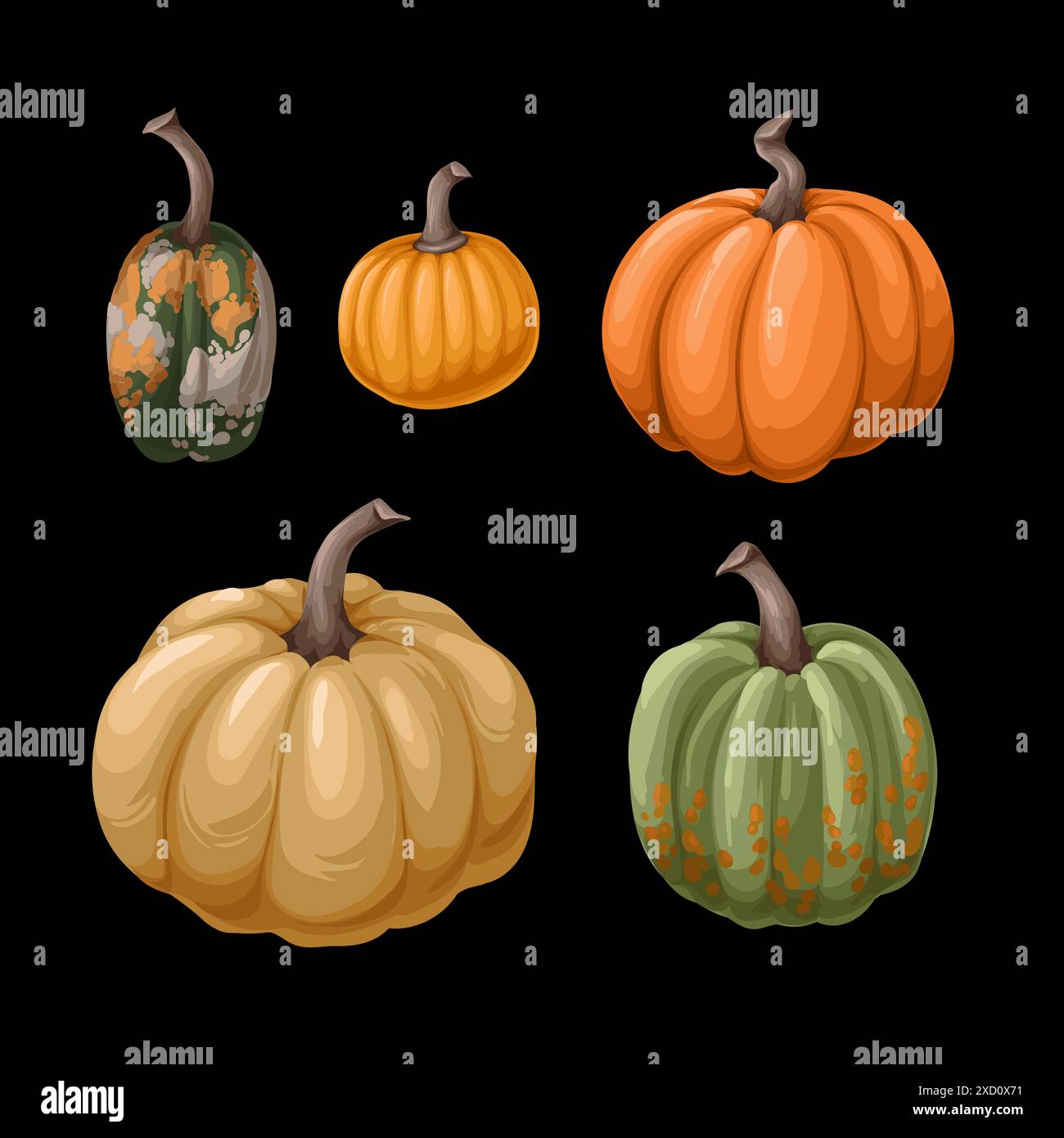 Thanksgiving background pumpkins retro card Stock Vector Images - Alamy