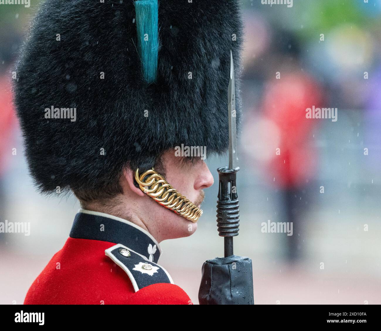 London 15th Jun 2024 Trooping the colour.  The King's guard lining the Mall during a very heavy shower Credit: MartinJPalmer/Alamy Live News Stock Photo