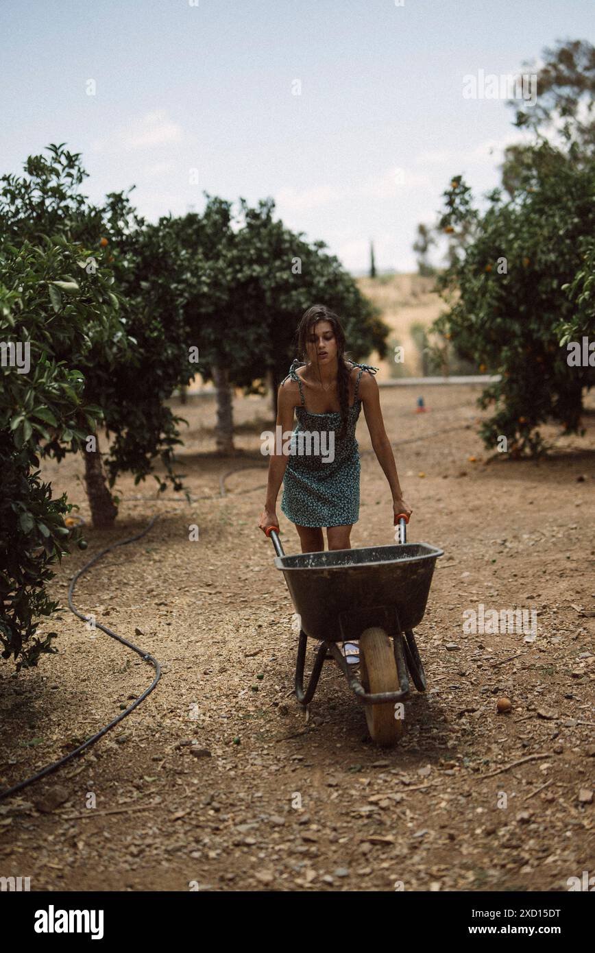 A woman is pushing a wheelbarrow in an orchard, engaged in outdoor ...