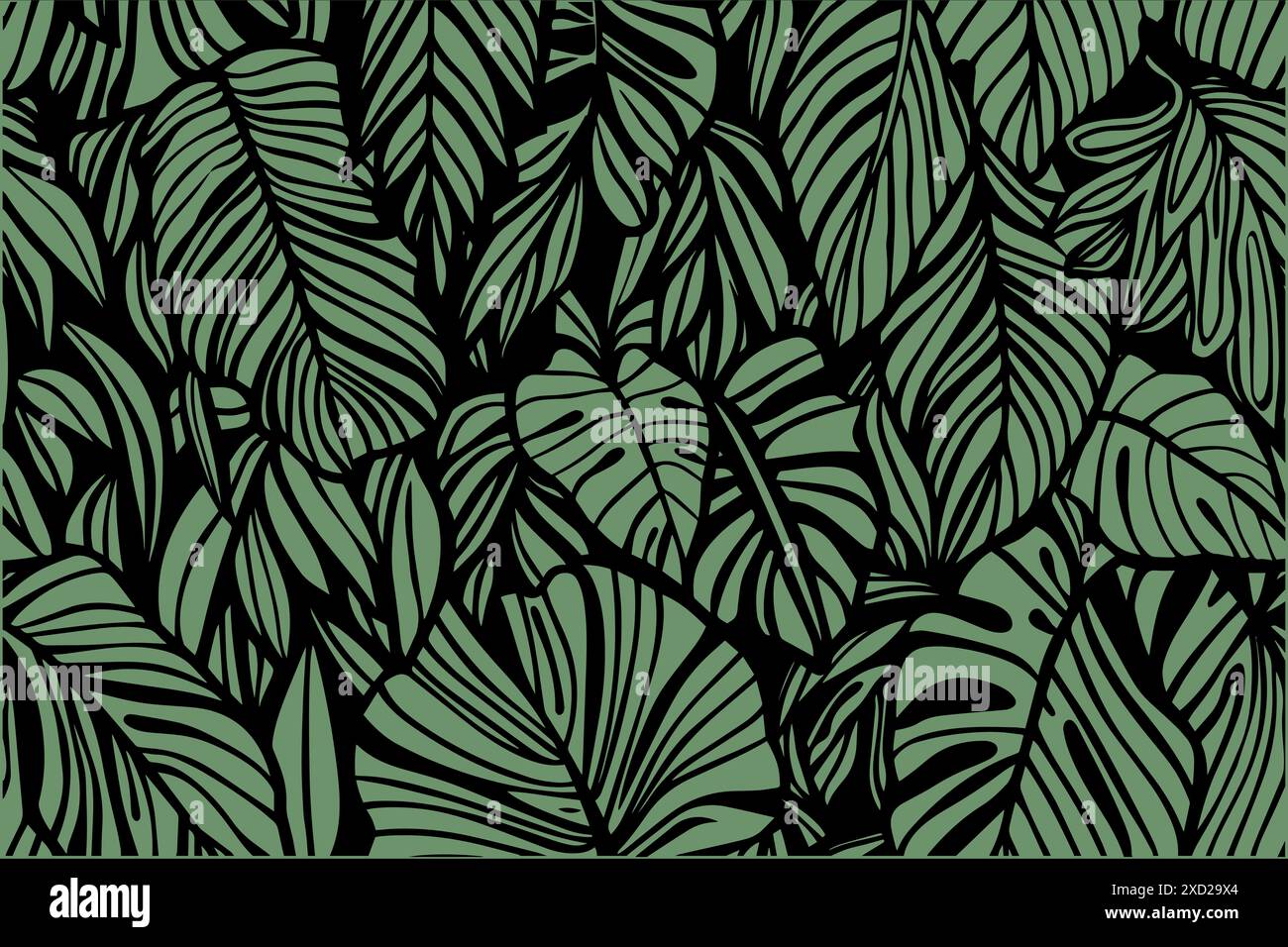 tropical jungle canopy wallpaper Stock Photo - Alamy