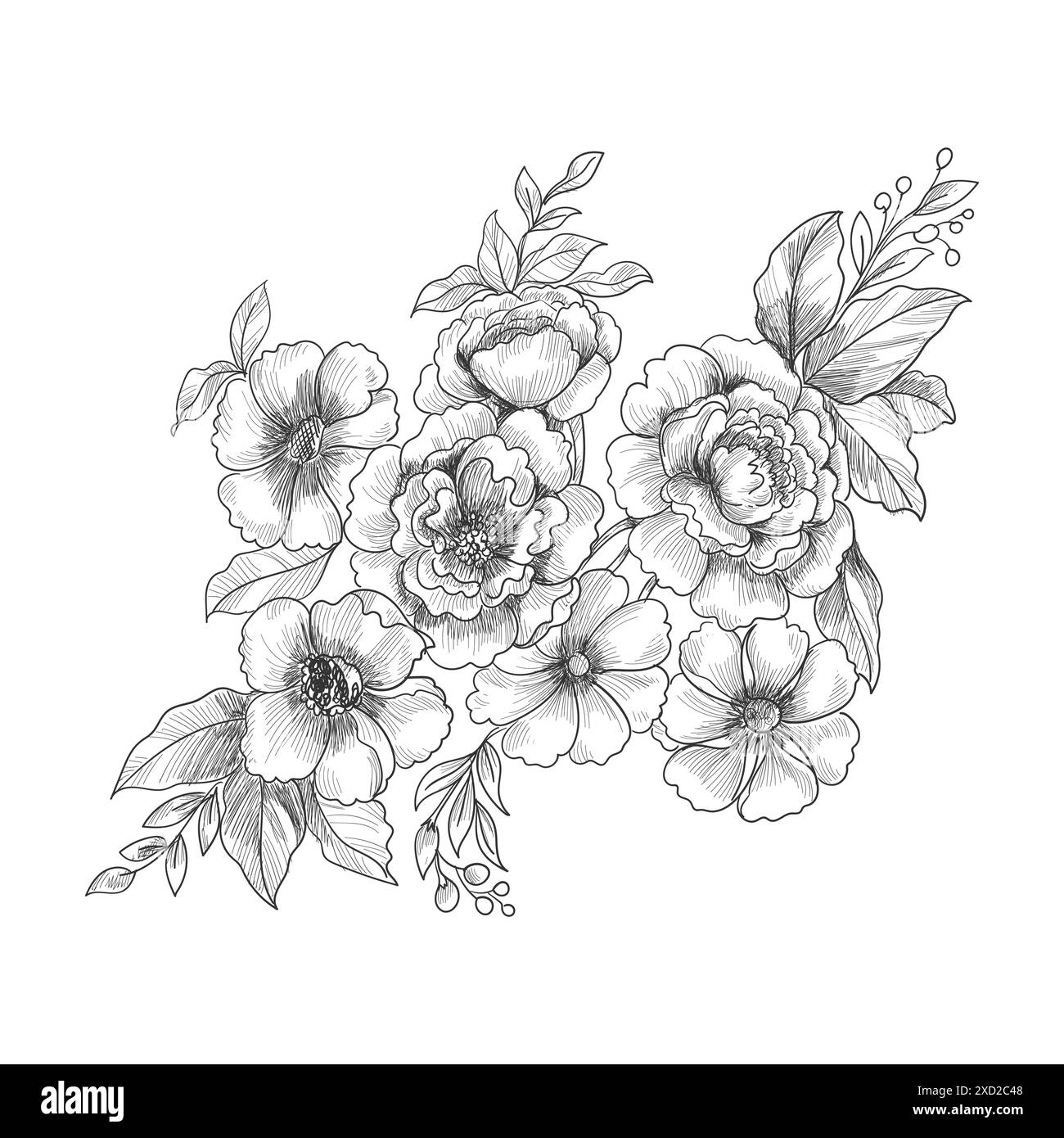Sketchy style Black and White Stock Photos & Images - Alamy