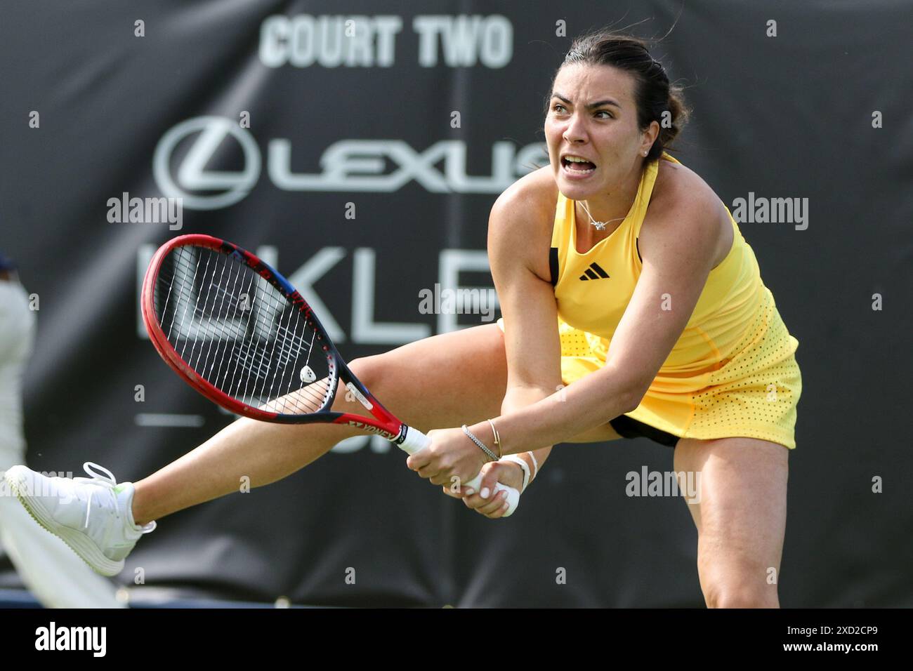 Maya joint hi-res stock photography and images - Alamy