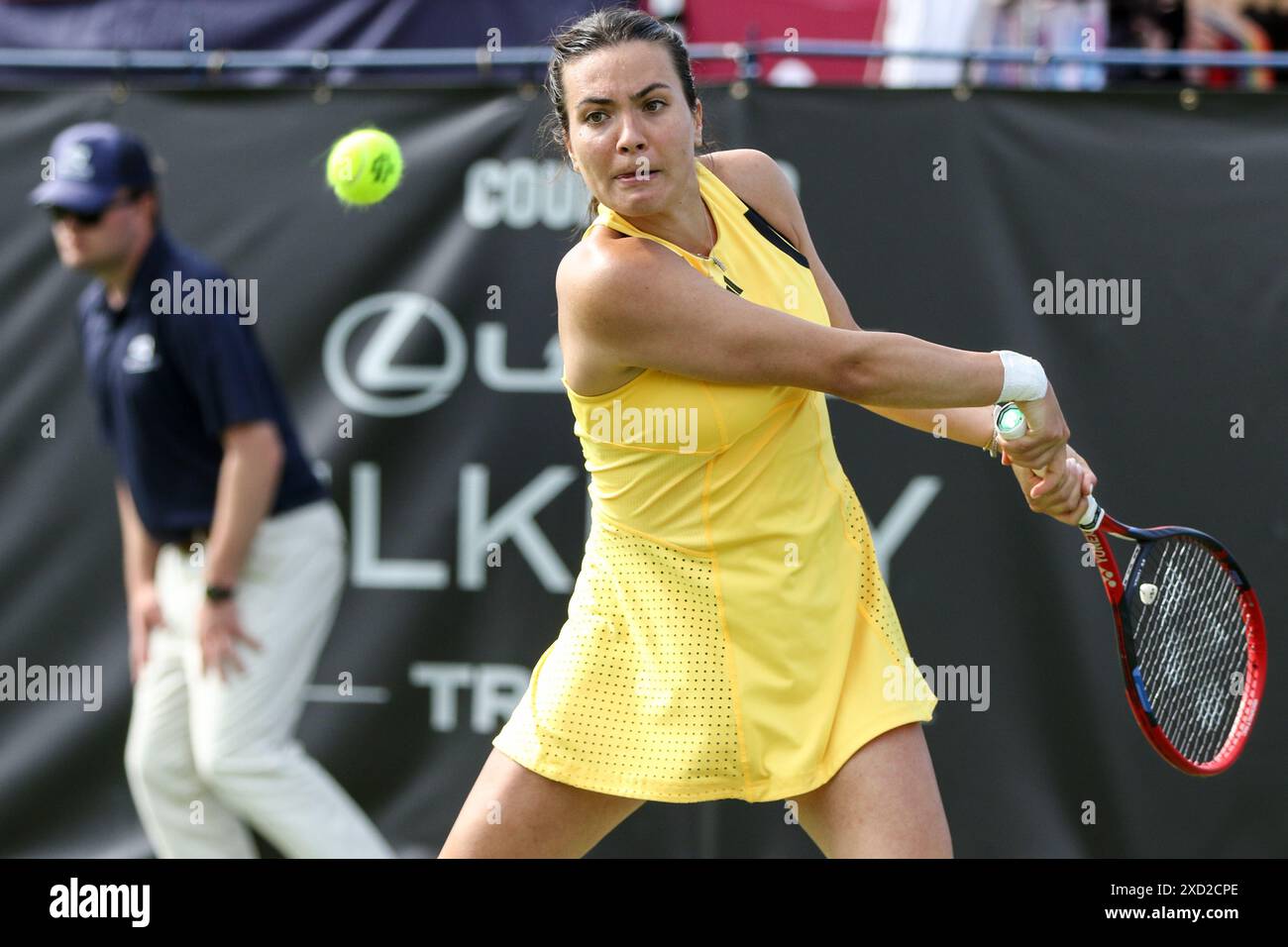 Maya joint hi-res stock photography and images - Alamy