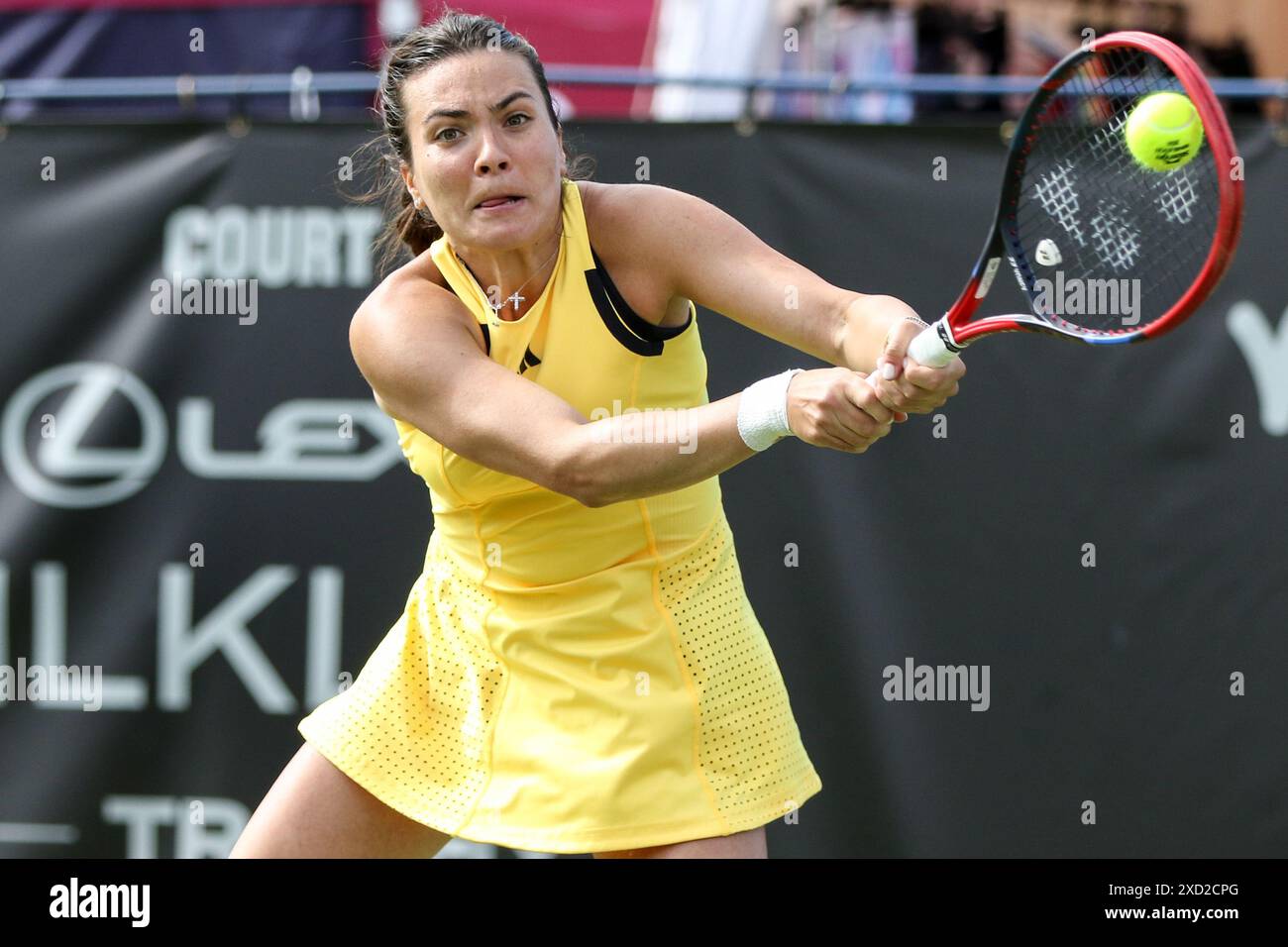 Maya joint hi-res stock photography and images - Alamy