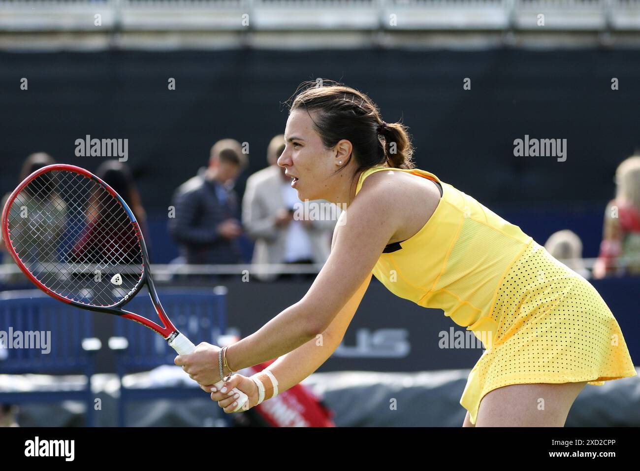 Maya joint hi-res stock photography and images - Alamy