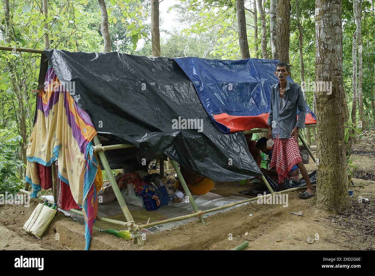 Makeshift tents at the Panisagar #39 s reserve forest area The people who Makeshift tents at the Panisagar #39 s reserve forest area The people who