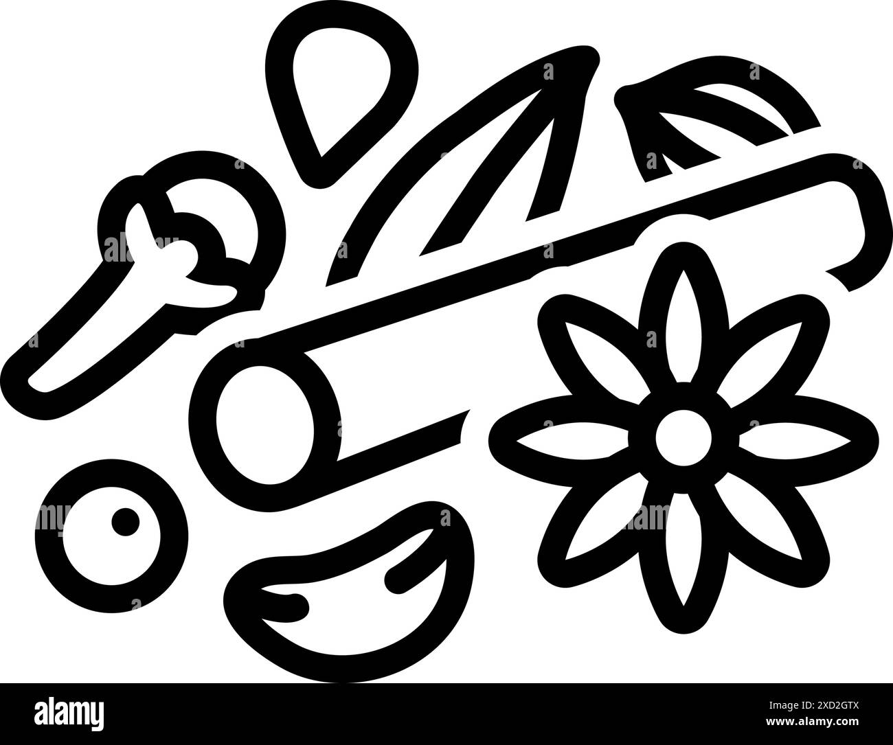 Garam masala ingredient Stock Vector Images - Alamy