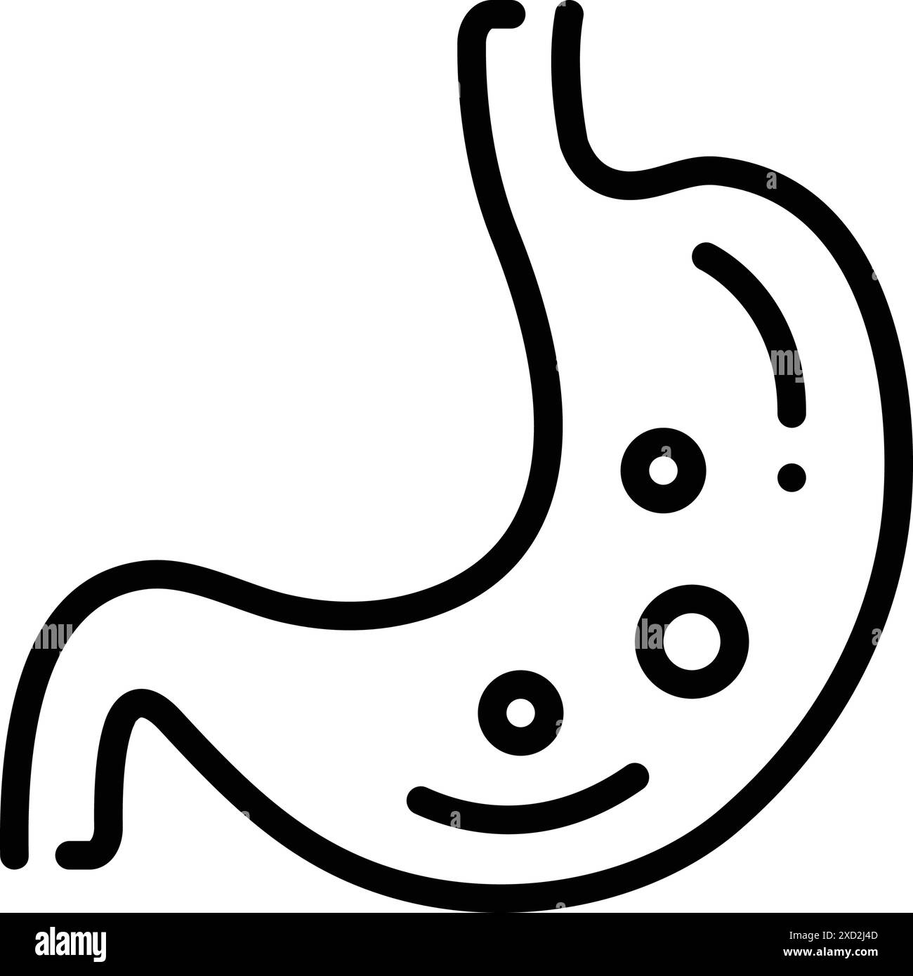 Gut anatomy Black and White Stock Photos & Images - Alamy