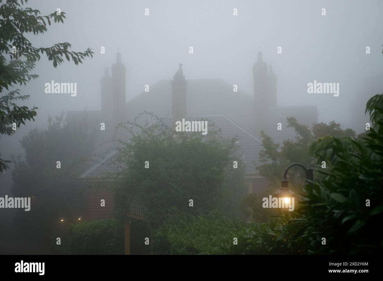 The slate roof and many tall chimneys on Lilianfels house, in Katoomba, surrounded by trees and foliage and shrouded in heavy fog Stock Photo