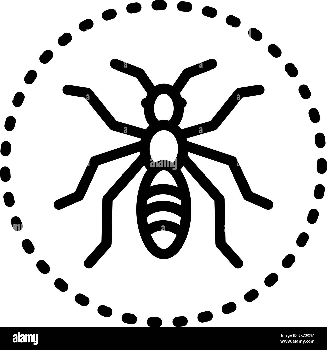 Small ants Black and White Stock Photos & Images - Alamy