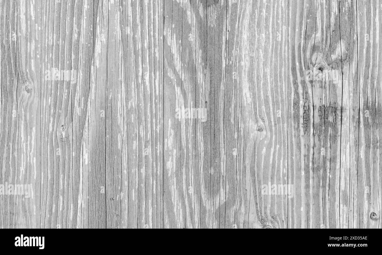 White grungy wooden wall with old peeling paint, close-up background ...