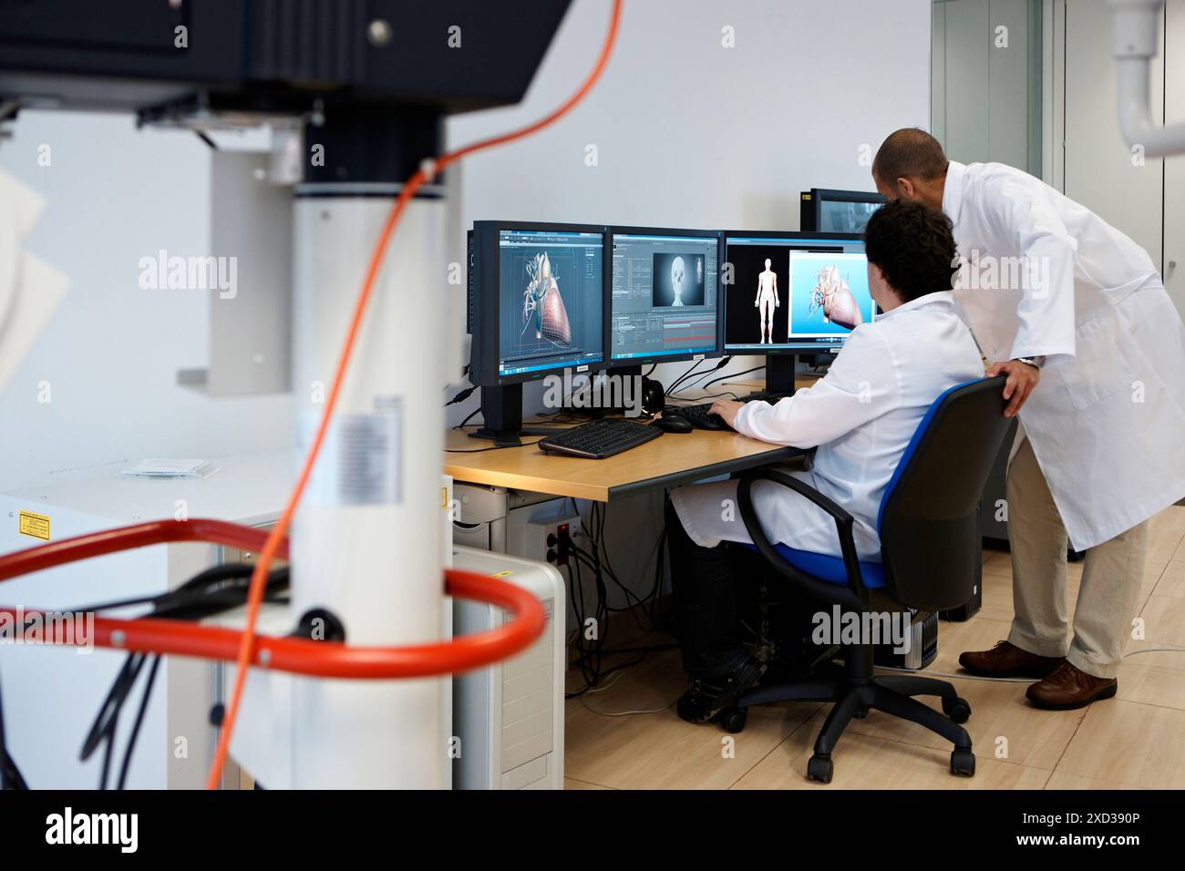 Simulation of organ structure/function, Health and Biomedical ...