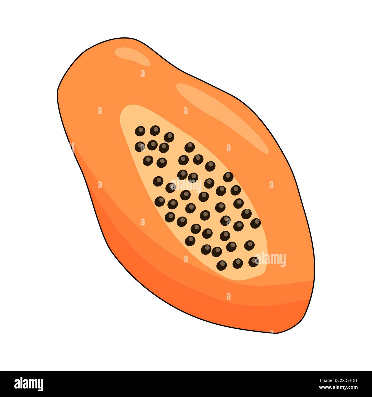 Ripe papaya fruit in cut, cartoon icon isolated on white, summer tropical fruit vector illustration Stock Vector