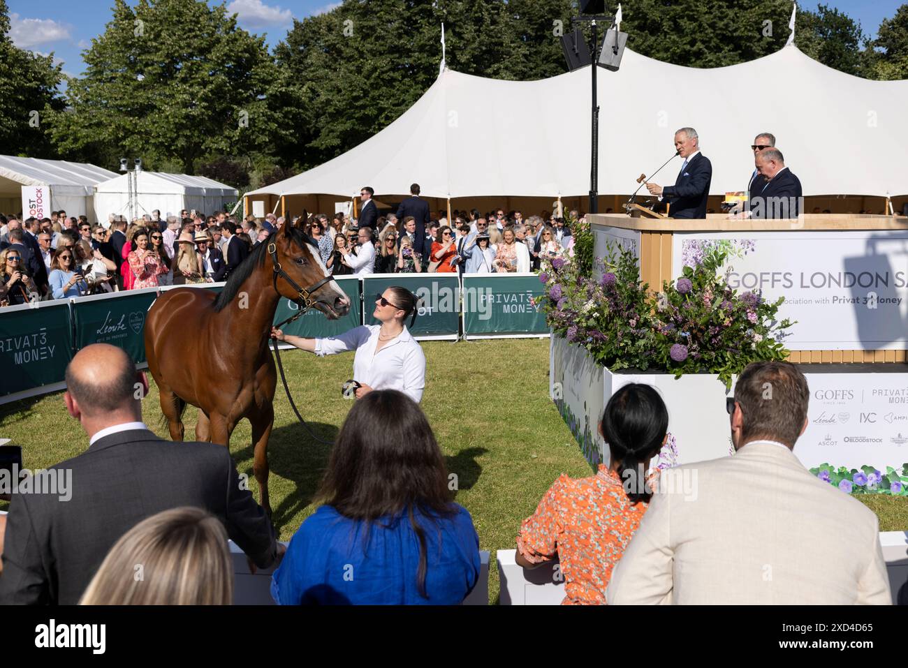The Goffs London Sale, London’s most exclusive thoroughbred sale where