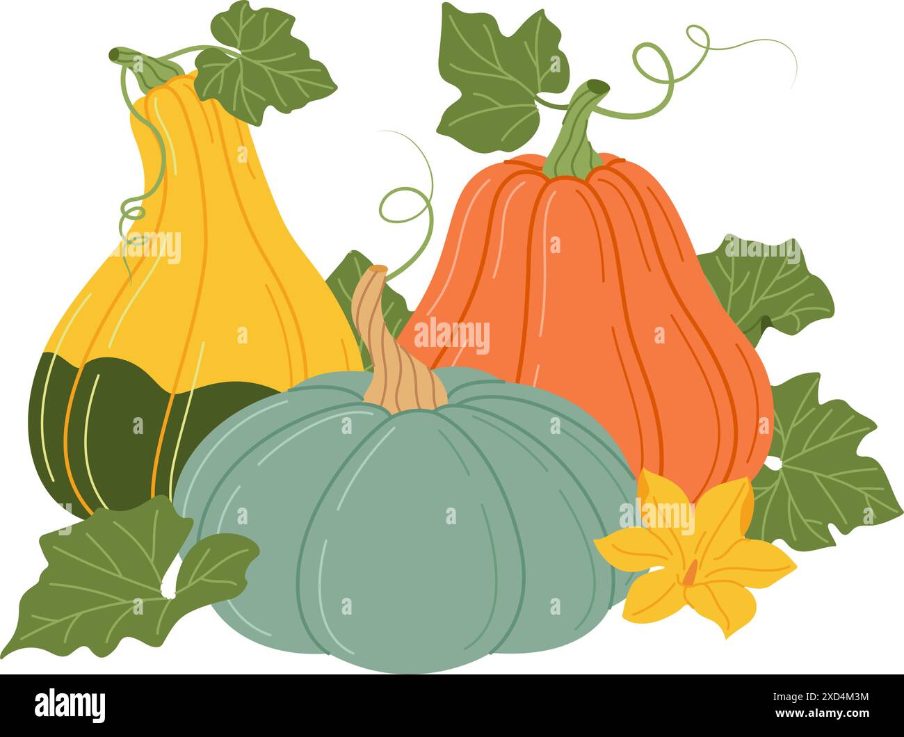 Fall Vine Vector Colorful Pumpkins with vines and leaves. Fall floral arrangement with ...