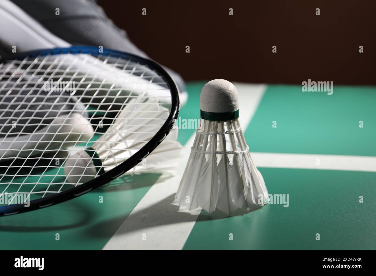 Feather badminton shuttlecocks and racket on court, closeup Stock Photo ...