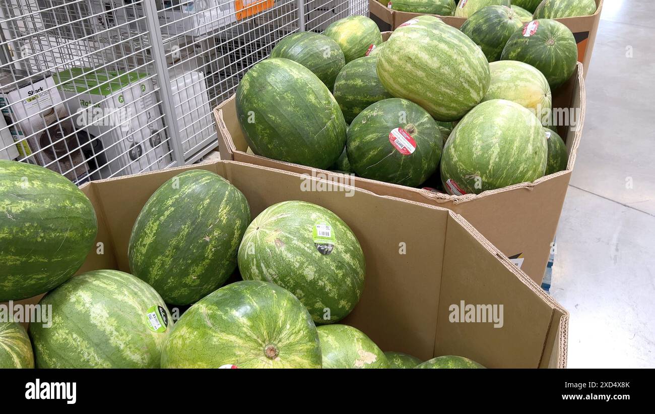 Fresh Watermelons on Display at Sams Club Stock Photo