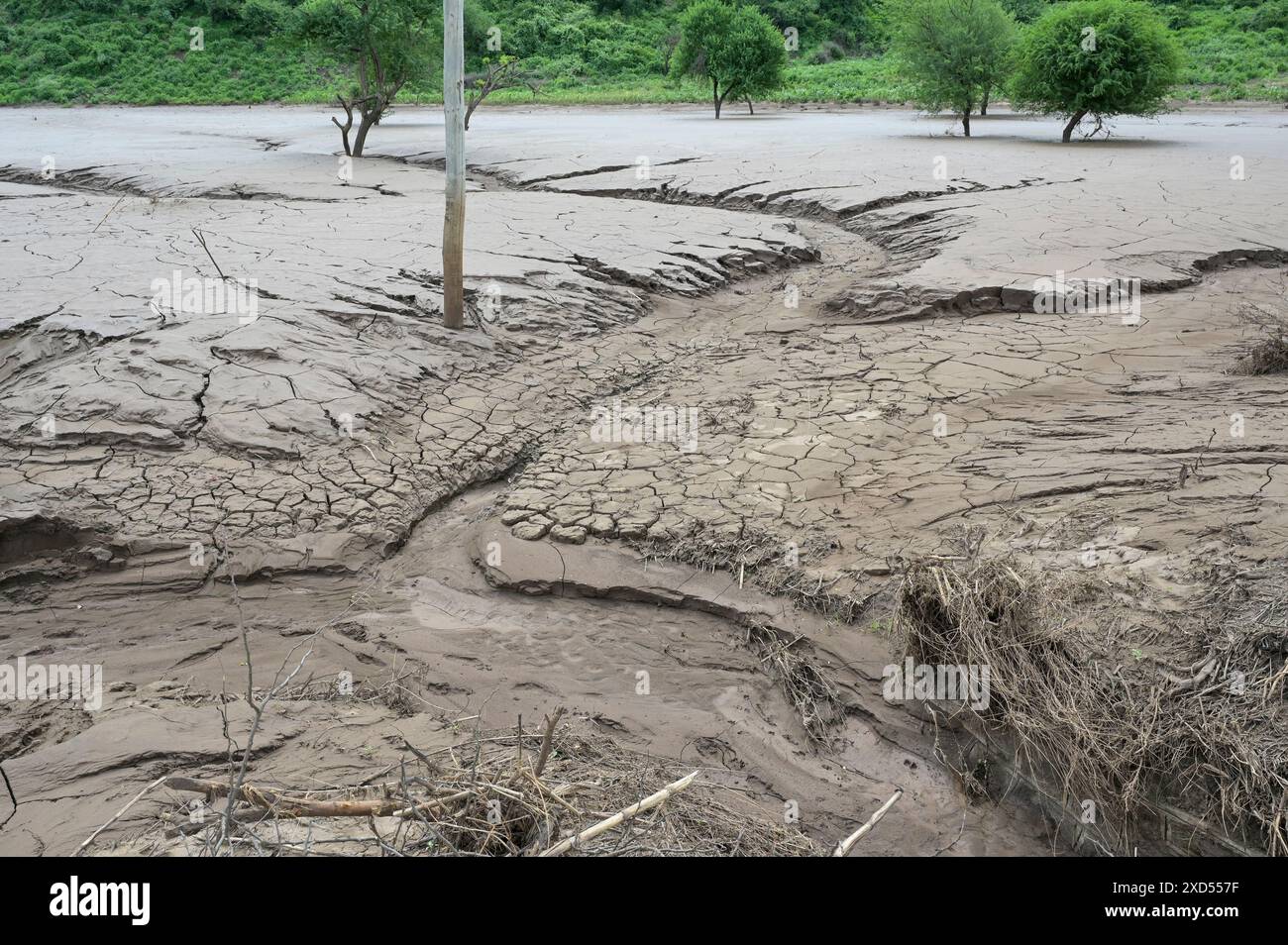 ETHIOPIA, region South Ethiopia, Arguba, flooding after long drought destroys fields with maize / ÄTHIOPIEN, Arguba, zerstörte Mais Felder nach Starkregen und langer Dürre Stock Photo