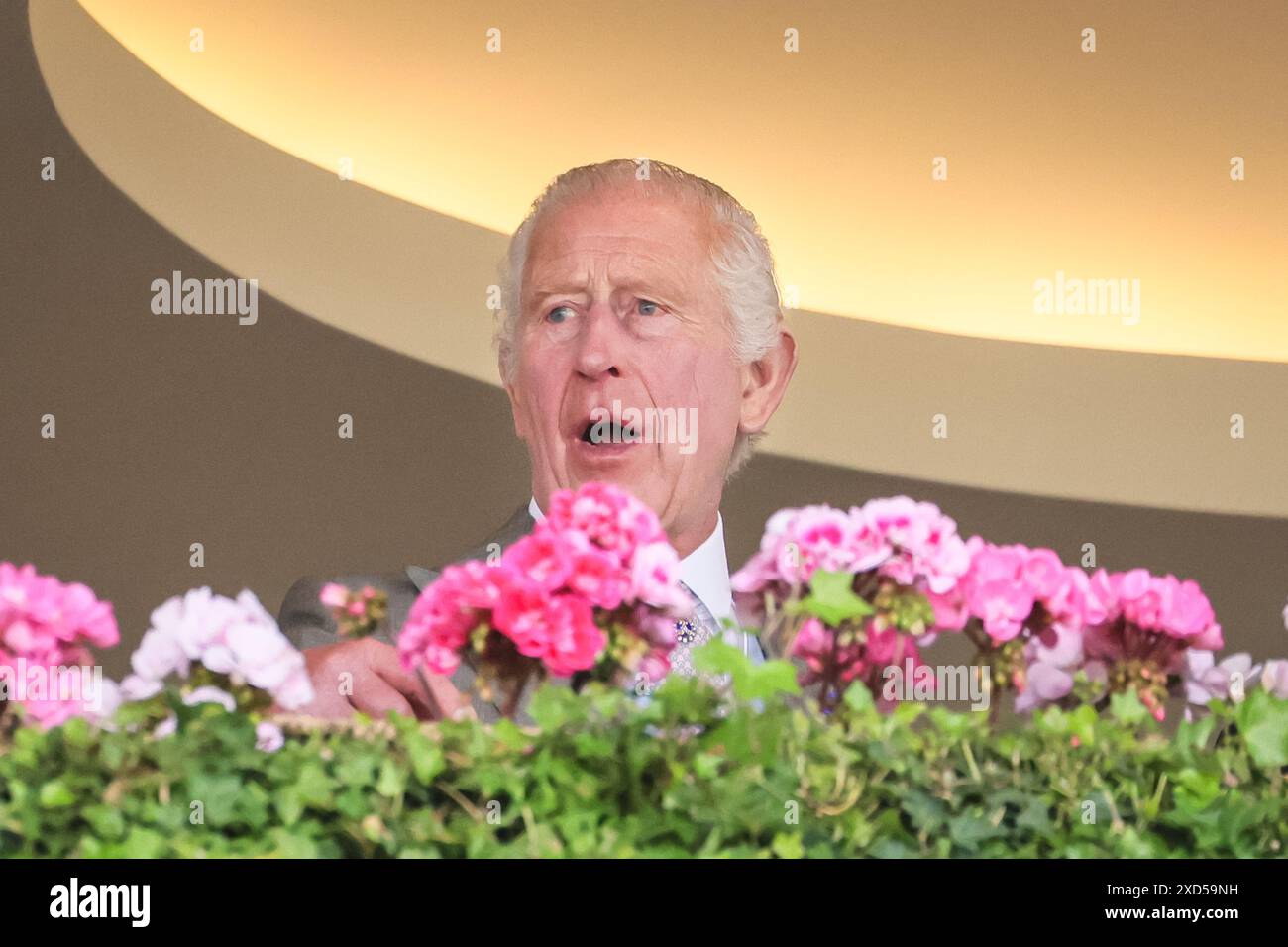 Ascot, Berkshire, UK. 20th June, 2024. The king chats on the balcony. King Charles III, Queen Camilla, the Duke and Duchess of Edinburgh and others on the balcony of the Royal Enclosure. Royal Ascot on Day 3, Ladies Day, of the horse racing event. Credit: Imageplotter/Alamy Live News Stock Photo