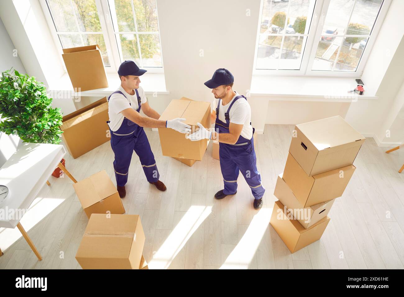 Two Movers Delivering Boxes at Home or Office Stock Photo