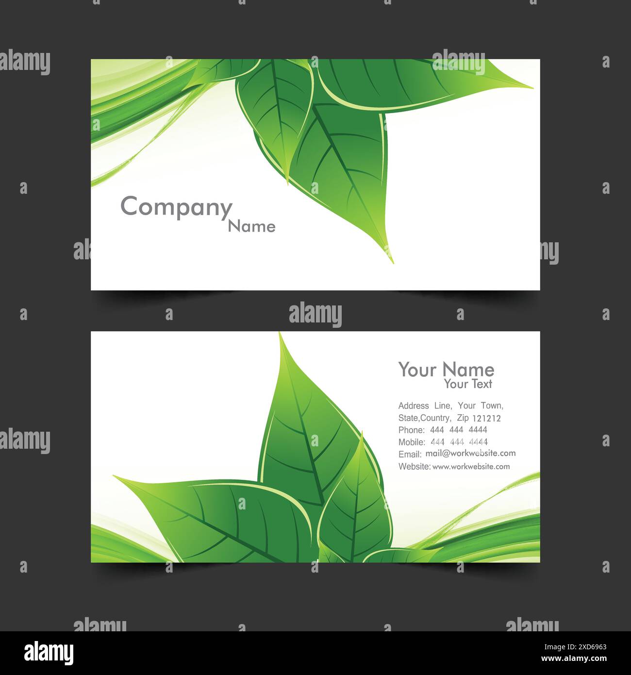 visiting card with green leaves vector design illustration Stock Vector ...