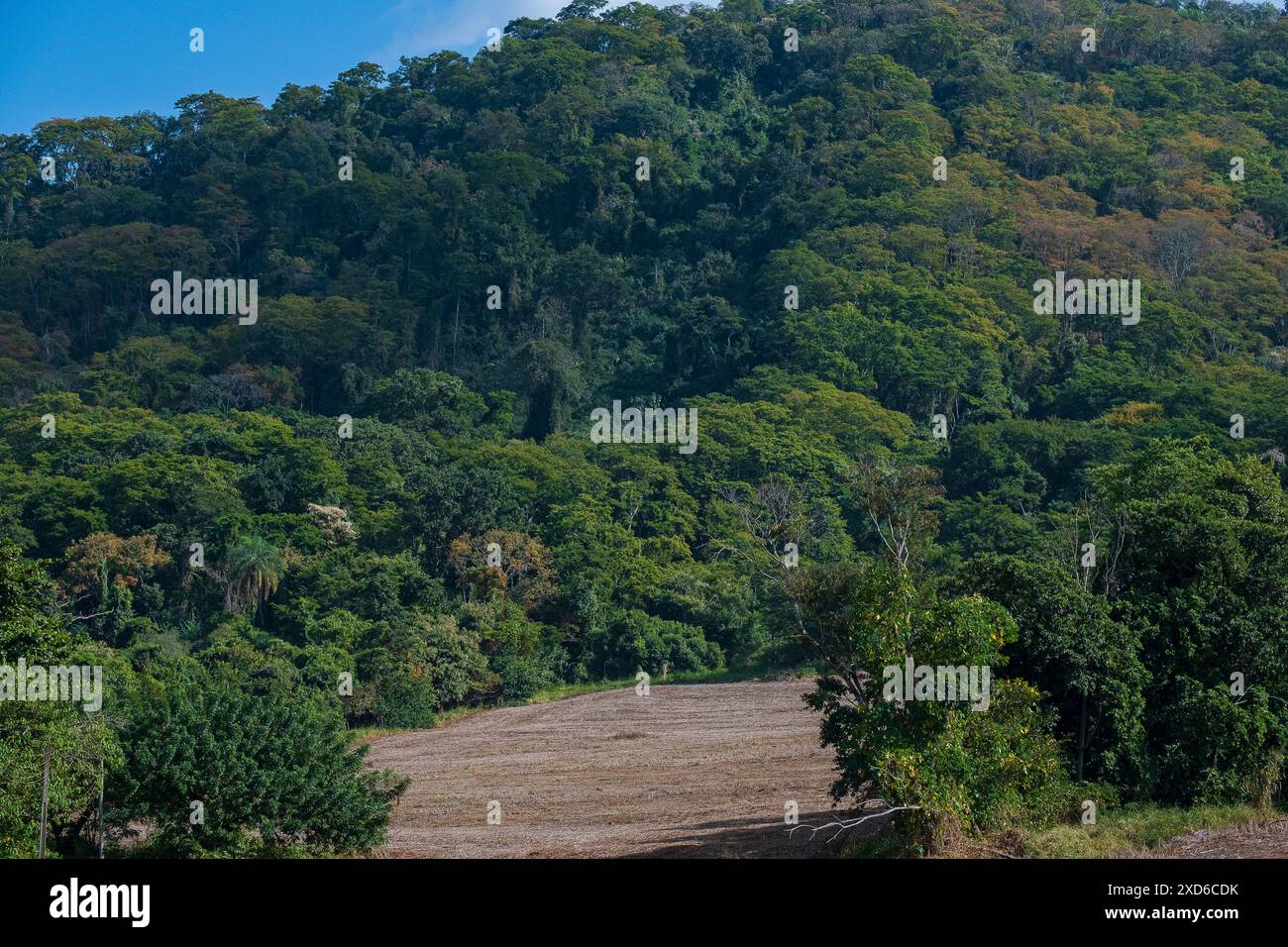 Soybean harvesting brazil hi-res stock photography and images - Alamy