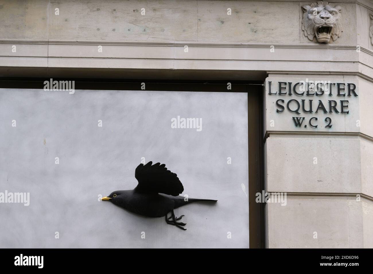 Leicester Square, street sign, London, UK.  16 Jun 2024 Stock Photo