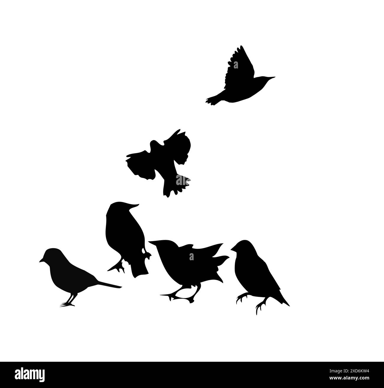 Silhouettes of small birds standing and flying. hand drawing. Not AI