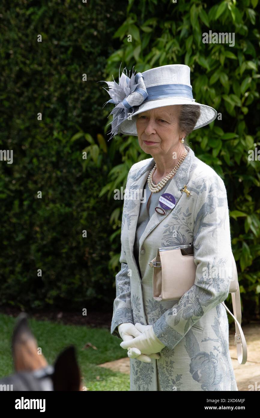 Princess anne ascot racecourse hi-res stock photography and images - Alamy