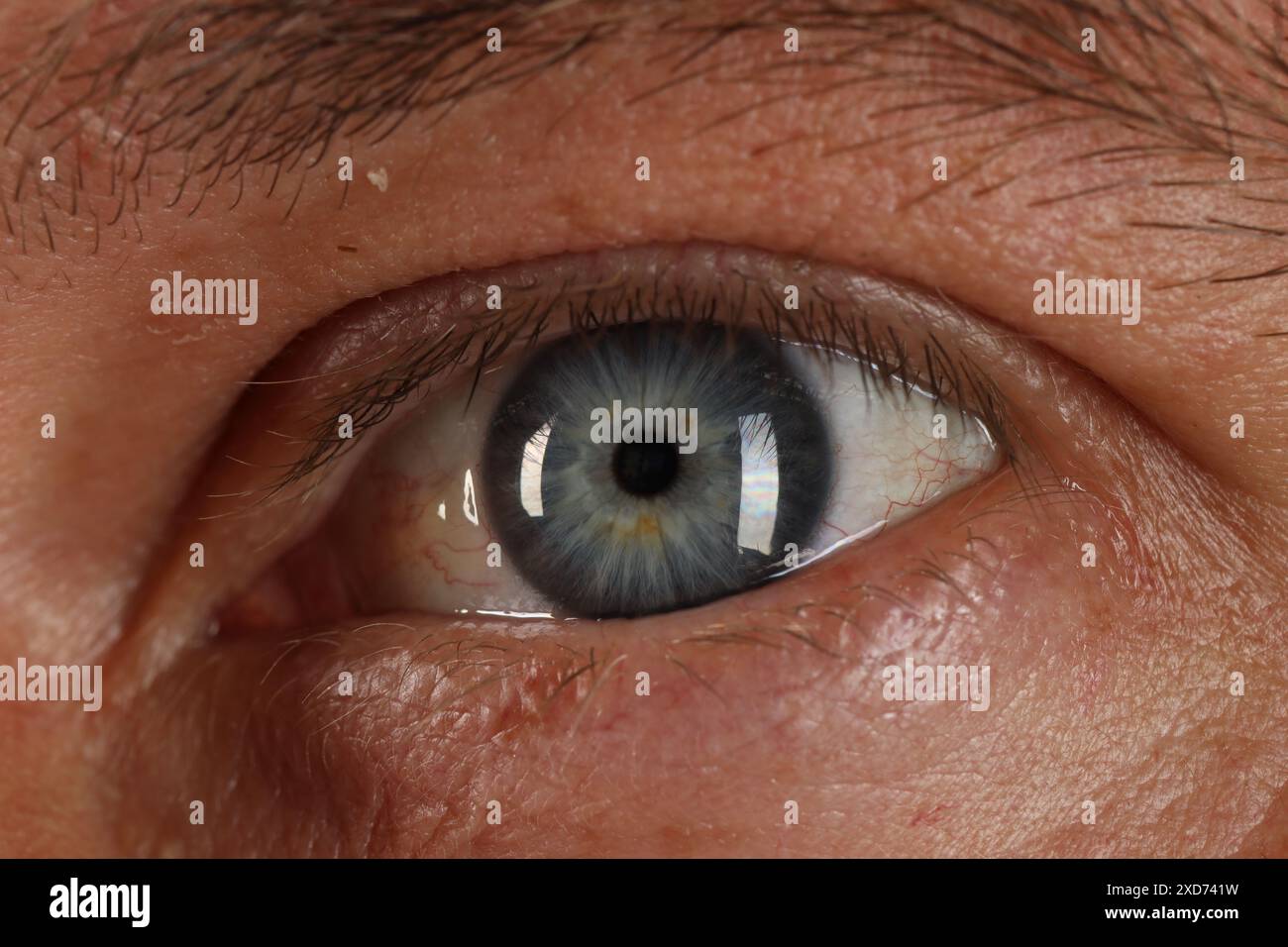 Macro photo of man with beautiful blue eyes Stock Photo - Alamy