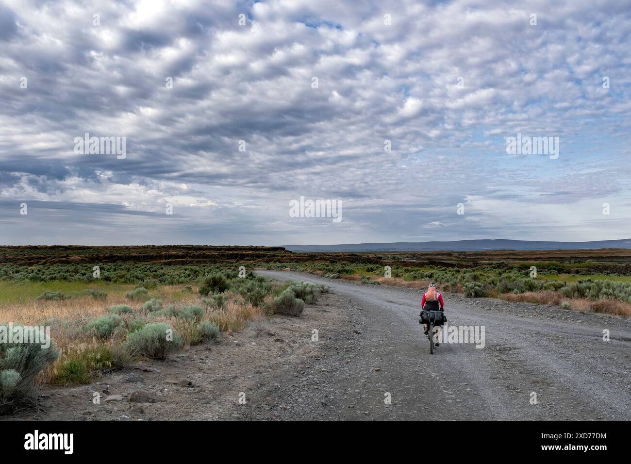 WA24905-00....WASHINGTON - Vicky Spring Bike-Packing through the Columbia Wildlife Refuge. Part of the Cross Washington Mountain Bike Route. MR#S1 Stock Photo