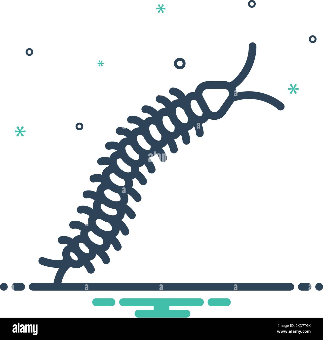 Icon for centipede,danger Stock Vector Image & Art - Alamy