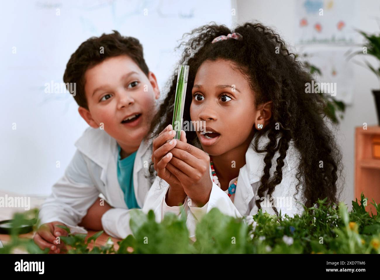Kids School And Science With Plants In Test Tube At Classroom For Kids School And Science With Plants In Test Tube At Classroom For