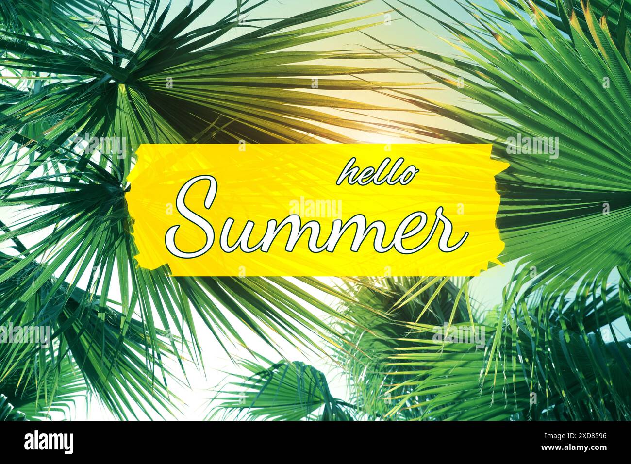 Hello Summer text against palms and bright sky on sunny day Stock Photo