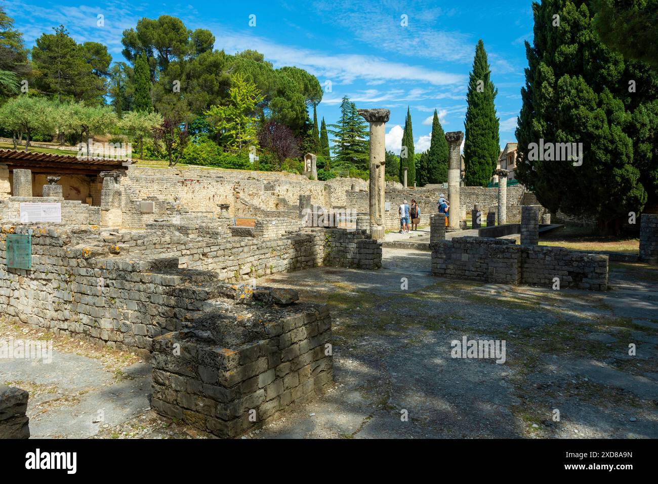 Vaison-la-Romaine. Archaeological site of Puymin. Vaucluse. Provence-Alpes-Côte d'Azur. France Stock Photo